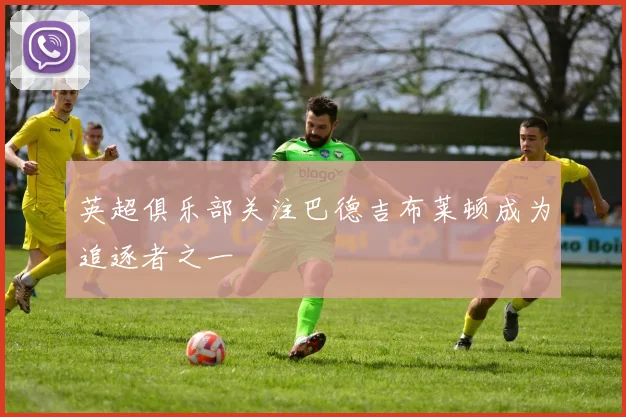 英超俱乐部关注巴德吉布莱顿成为追逐者之一